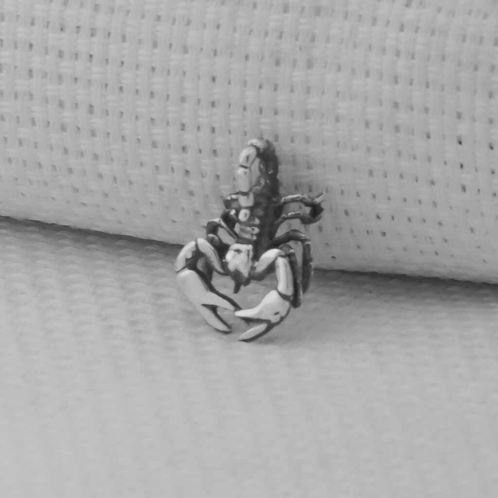 Akrep Küçük Boy 925 Ayar Erkek Gümüş Kolye ucu