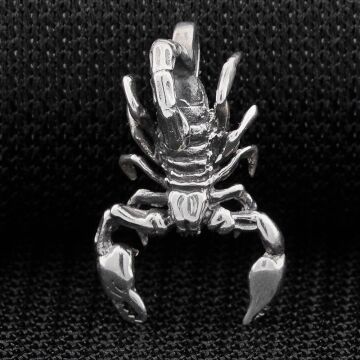 Akrep Tasarımlı 925 Ayar Gümüş Kolye Ucu